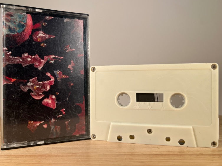DAVE SAMS - noon and night - CASSETTE TAPE