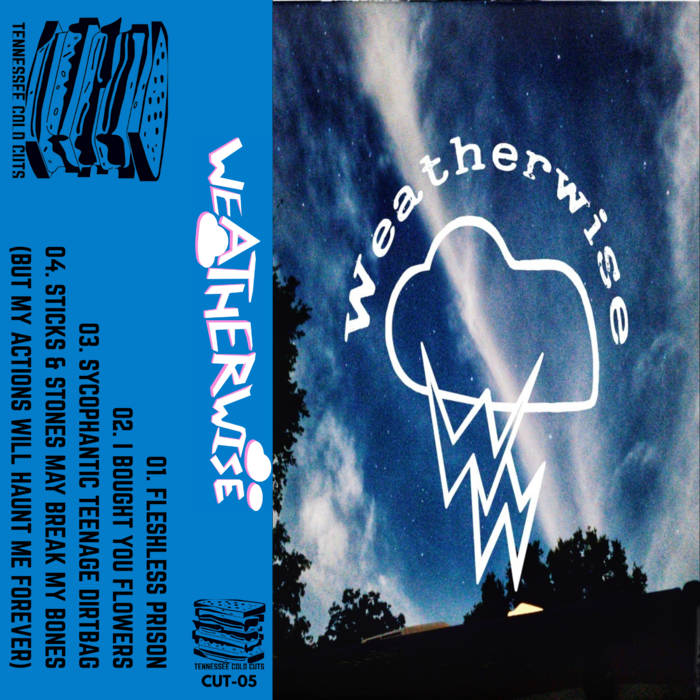 WEATHERWISE - Demos - BRAND NEW CASSETTE TAPE