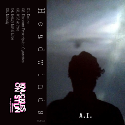 HEADWINDS - A.I.  - BRAND NEW CASSETTE TAPE
