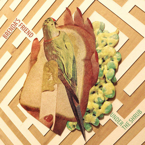 BRENDA'S FRIEND - under the shrub - BRAND NEW CASSETTE TAPE