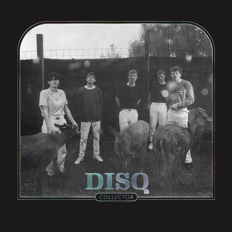 DISQ - collector - BRAND NEW CASSETTE TAPE