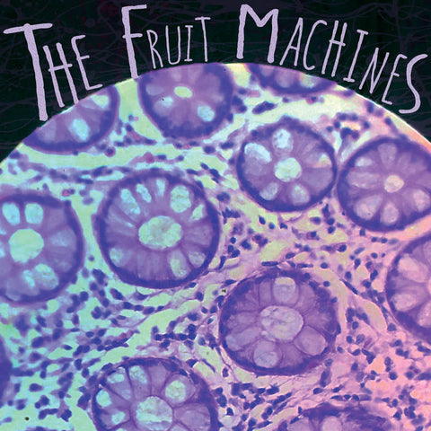 THE FRUIT MACHINES - s/t - BRAND NEW CASSETTE TAPE