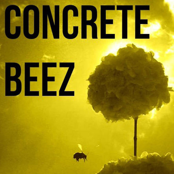 CONCRETE BEEZ - S/t - BRAND NEW CASSETTE TAPE – TAPEHEAD CITY