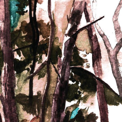 HOP ALONG - bark your head off, dog - BRAND NEW CASSETTE TAPE