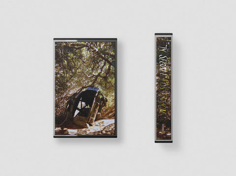 TY SEGALL - Possession - BRAND NEW CASSETTE TAPE