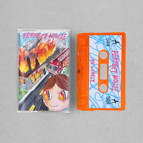 MX LONELY - Perfect House - BRAND NEW CASSETTE TAPE