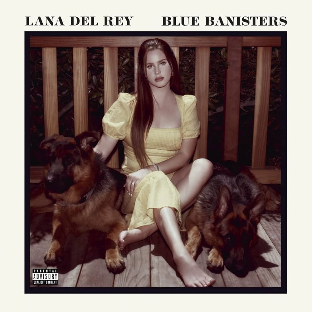 LANA DEL REY - Blue Banisters - BRAND NEW CASSETTE TAPE