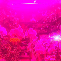 Melaina Kol - Okay that’s a great idea because if I do that then - BRAND NEW CASSETTE TAPE