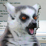 PRINCESS DANK - giving lemurs anxiety - BRAND NEW CASSETTE TAPE