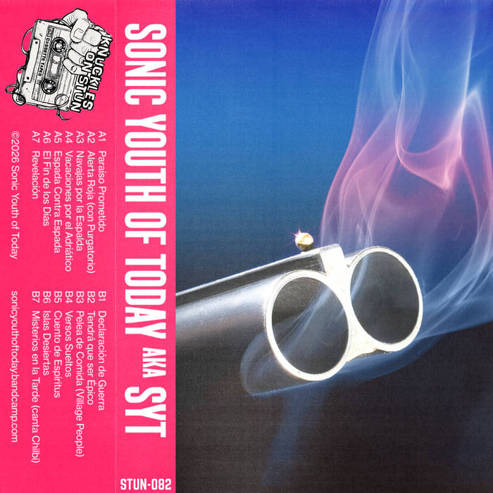 SONIC YOUTH OF TODAY - AKA SYT - BRAND NEW CASSETTE TAPE