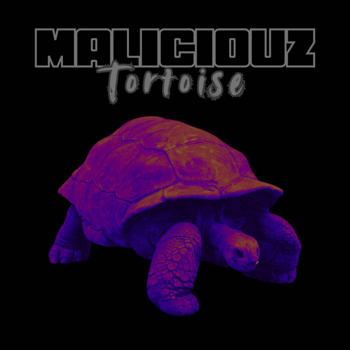 Maliciouz - Tortoise - BRAND NEW CASSETTE TAPE