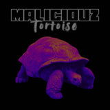 Maliciouz - Tortoise - BRAND NEW CASSETTE TAPE