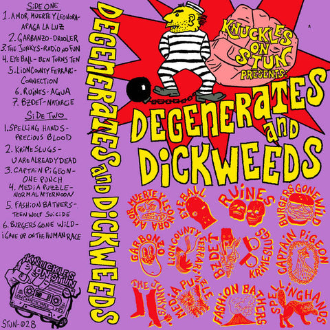 Degenerates & Dickweeds - Various Artists - BRAND NEW CASSETTE TAPE