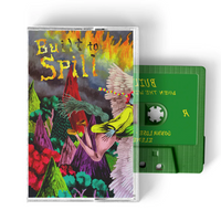 Built To Spill - When The Wind Forgets Your Name Regular price - BRAND NEW CASSETTE TAPE