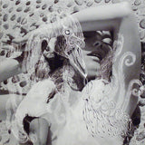 BJORK - vespertine - BRAND NEW CASSETTE TAPE