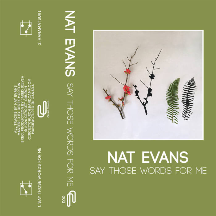 NAT EVANS - say those words for me - BRAND NEW CASSETTE TAPE