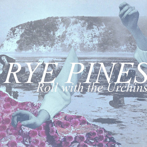 RYE PINES - roll with the urchins - BRAND NEW CASSETTE TAPE