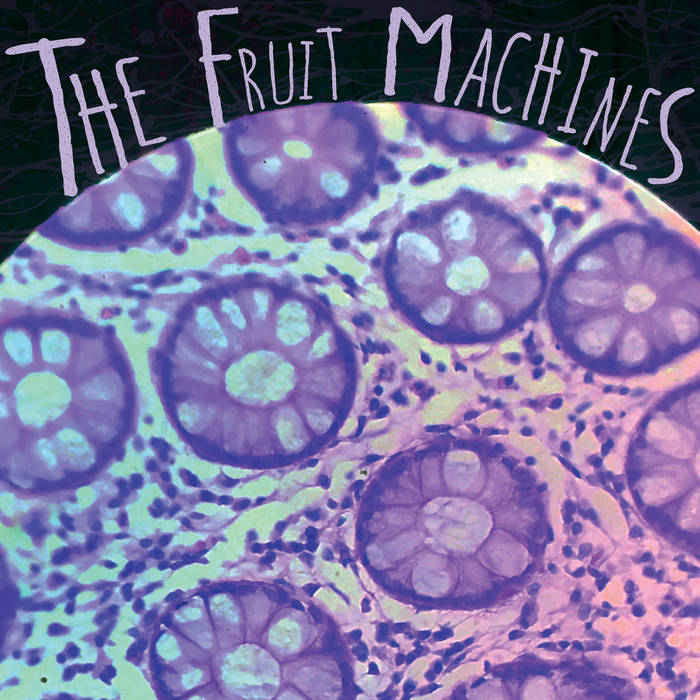 THE FRUIT MACHINES - s/t - BRAND NEW CASSETTE TAPE