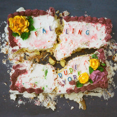 DUDE YORK - falling - BRAND NEW CASSETTE TAPE